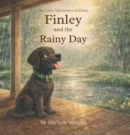 Finley and the Rainy Day