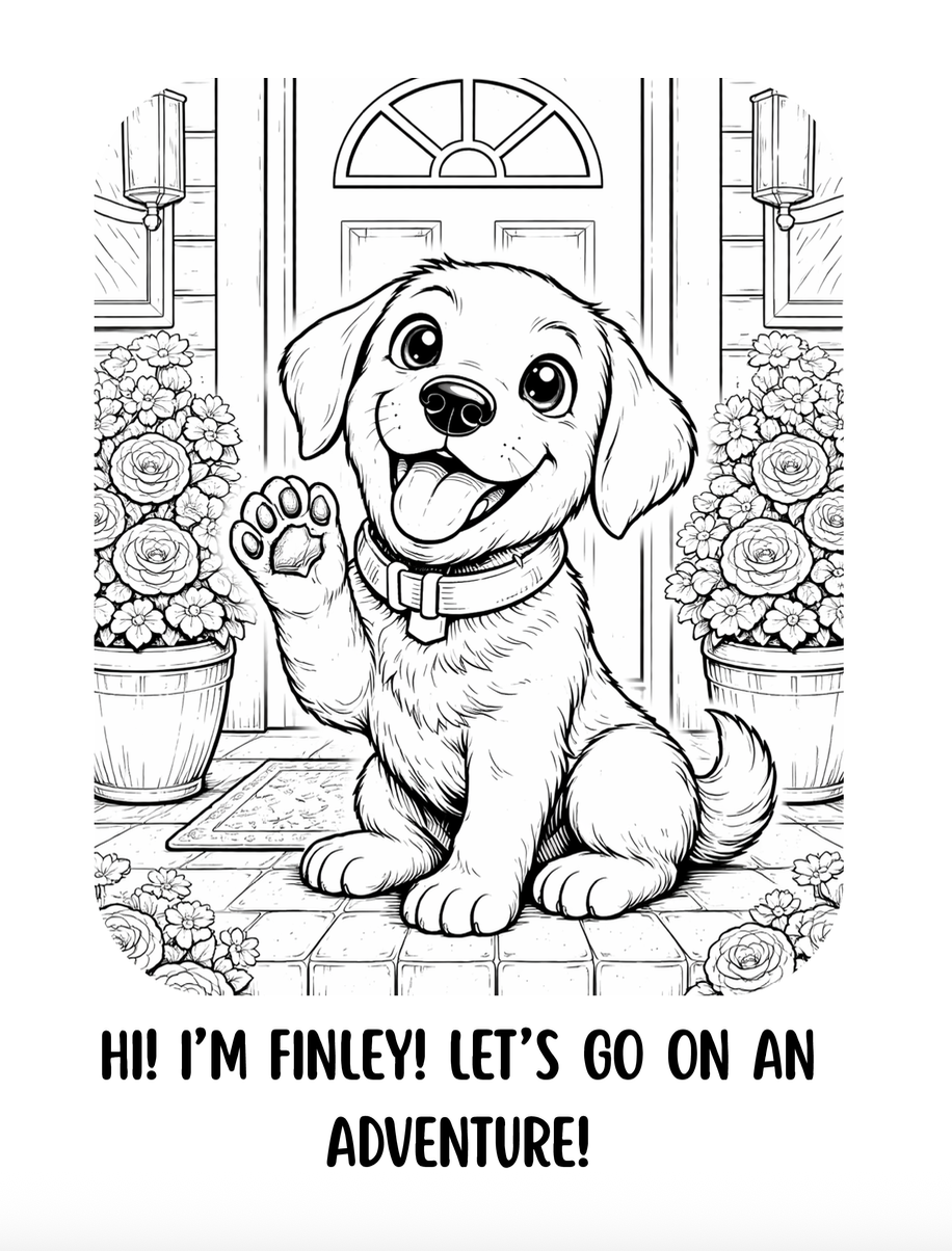 The Little Adventures of Finley Coloring Book: A Day at the Park