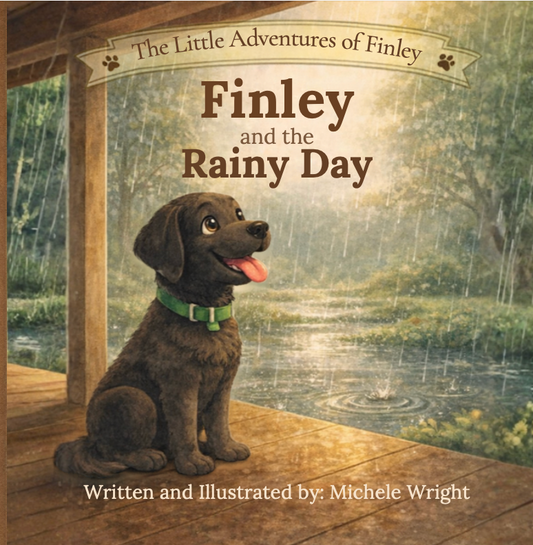 Finley and the Rainy Day (Amazon)